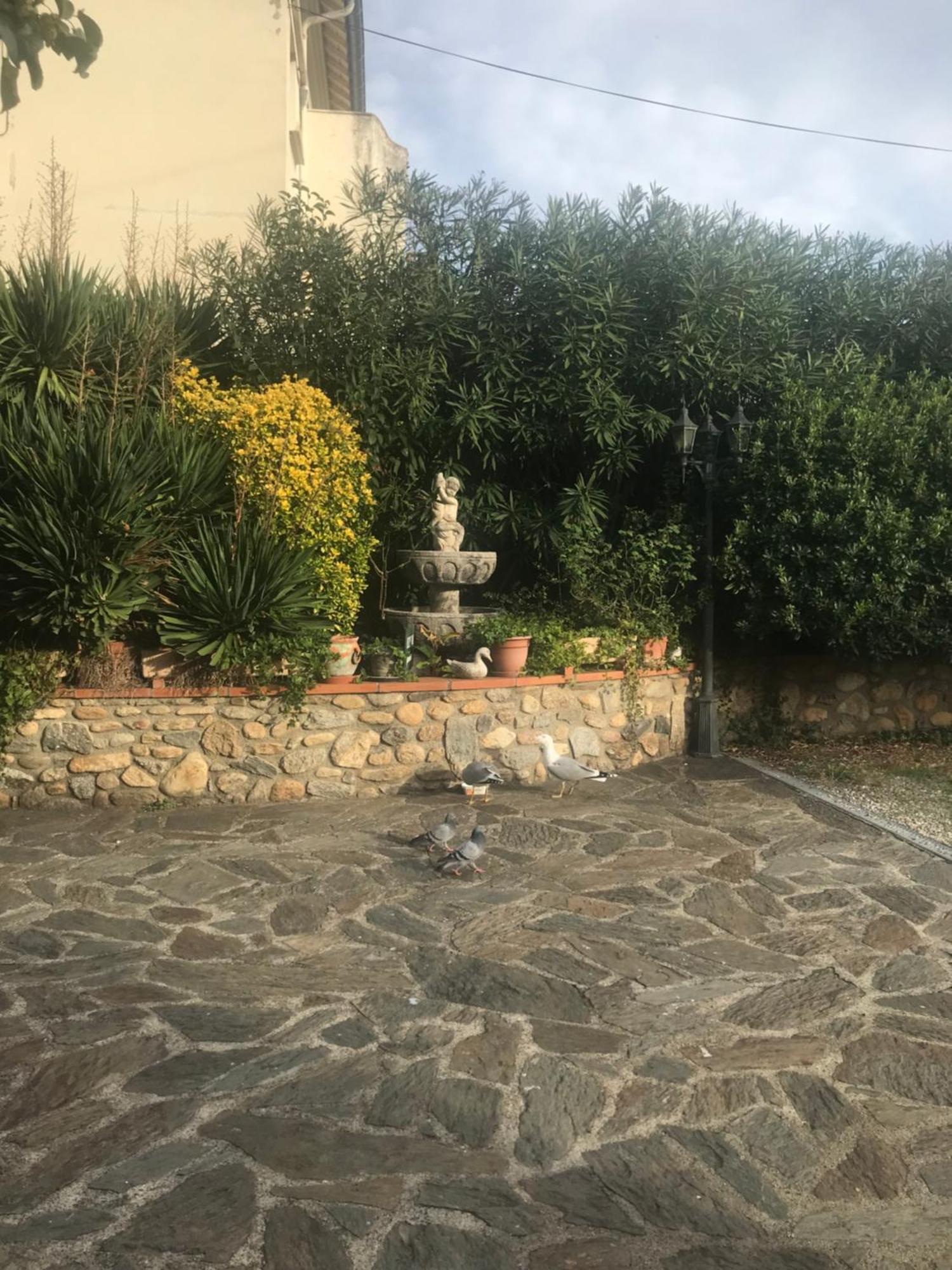 Hebergements A La Rive, Accueil Ouvert Tous Les Jours Jusqu'A 20H00 Dernier Delai, Depuis 30 Ans ! Reserver Ici Svp ! Merci ! Aucun Reglement A Distance Accepte, Paiement Par Cb, Especes, Cheque Ou Cheques-Vacances Imperativement A La Remise Des Clef Амели-ле-Бен-Палальда Экстерьер фото
